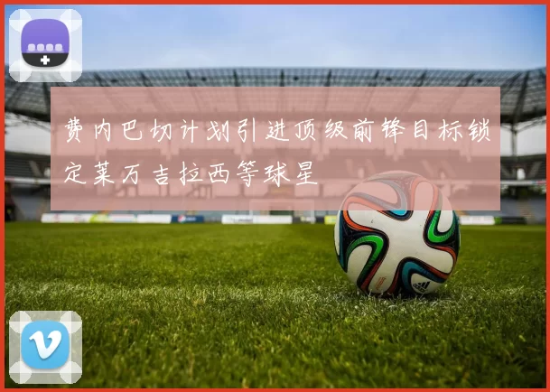 费内巴切计划引进顶级前锋目标锁定莱万吉拉西等球星