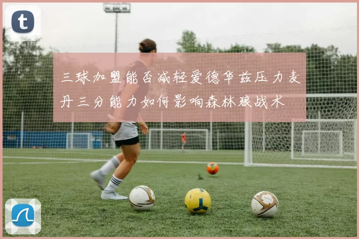 三球加盟能否减轻爱德华兹压力麦丹三分能力如何影响森林狼战术